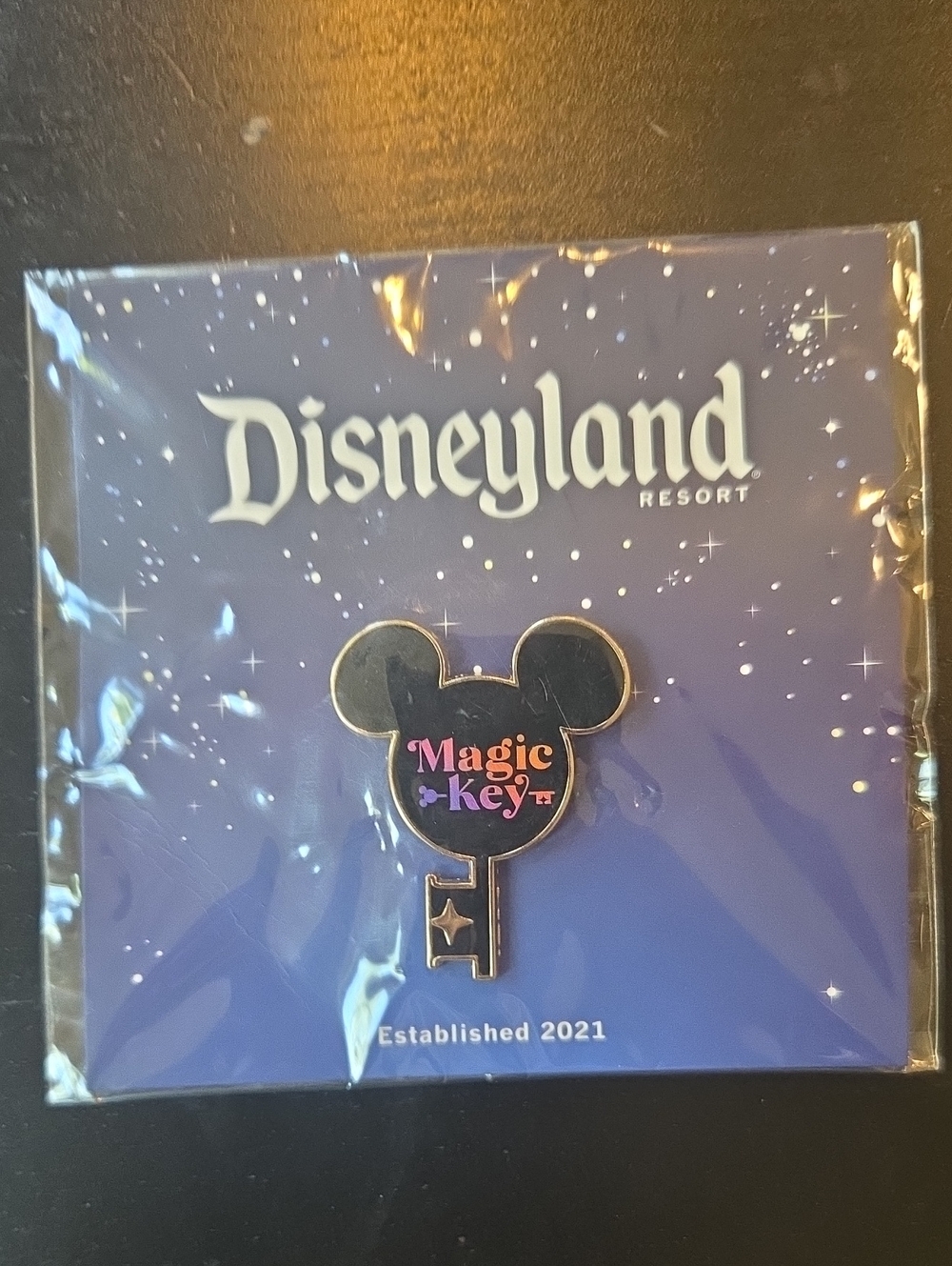 DISNEYLAND Magic KEY PIN (NEW)